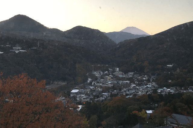 ドッグパレスリゾート箱根
部屋【鞍掛山】からの景色