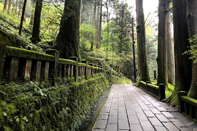 榛名神社の道